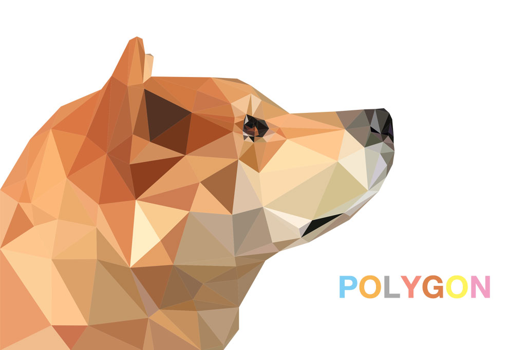 polygonDogg